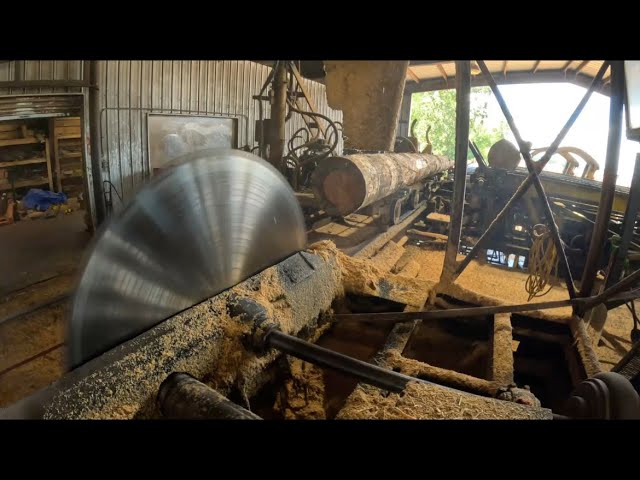 Sawing 10 x 10 x 26 pine 