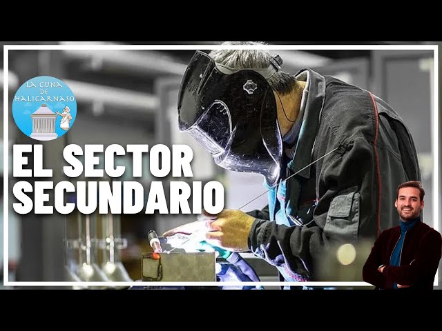 THE SECONDARY SECTOR 👩🏻‍🏭⚙️ | FULL SUMMARY in 12 minutes