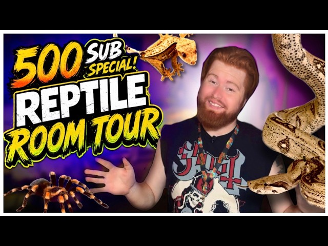 Touring My Reptile Room! (15+ Animals)