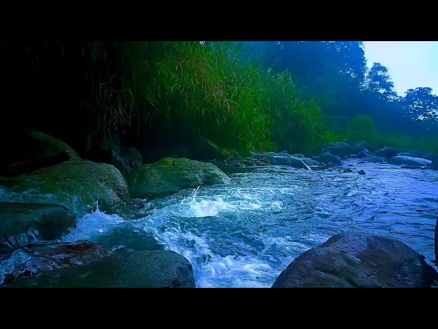 🌿 Flowing River ASMR Ambience for Sleep, Meditation & Stress Reduction