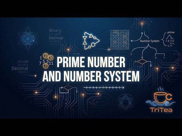 Mastering Numerical Logic: Prime Numbers & Binary Conversion