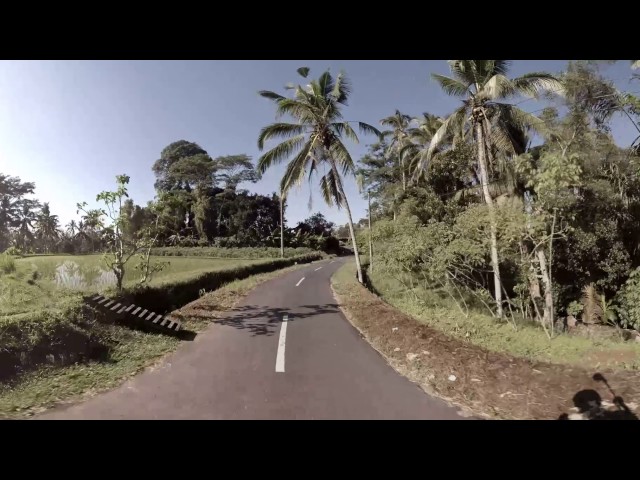 360 video: Ride through Tegalalang Rice Fields, Bali, Indonesia