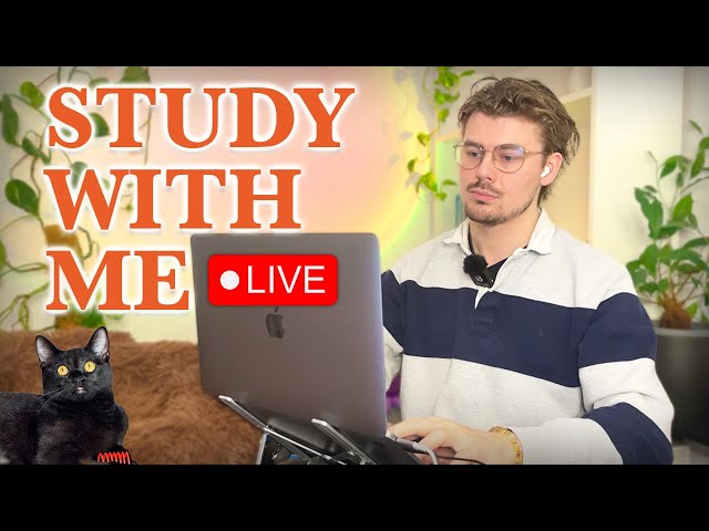 Study With Me LIVE 🚀 13-HOURS — Deep Focus (50/10 Pomodoro) | Cozy UK Rain, No Distractions!