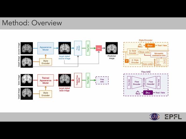Self-Supervised Generative Style Transfer for One-Shot Medical Image Segmentation