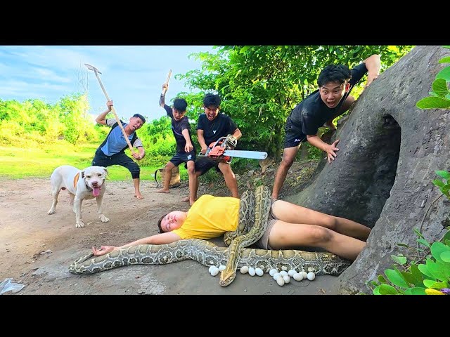 Horrifying! Brave Hunters Rescue Girl from a Ferocious Giant Python