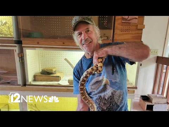 Mentor, wildlife advocate killed in hit-and-run on Arizona rural highway