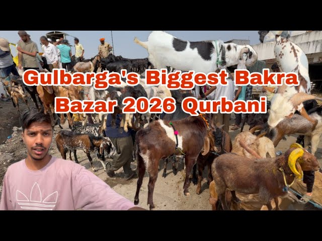 Gulbarga Karnataka’s biggest Goat Market Qurbani 2026 Eid ul Adha Mubarak in Advance #goatmarket