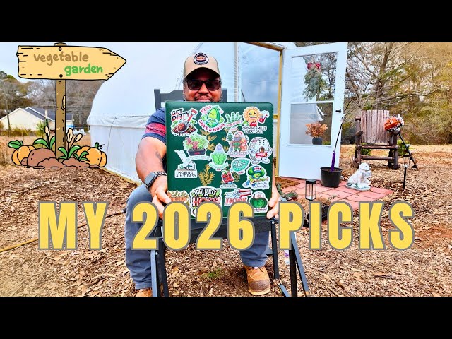 After Everything I’ve Learned… These Are My 2026 Vegetable Seeds