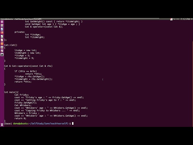 C++ An Assignment Operator overloading check rhs