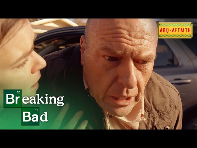 Hank's Panic Attack in the Car | Breaking Bad