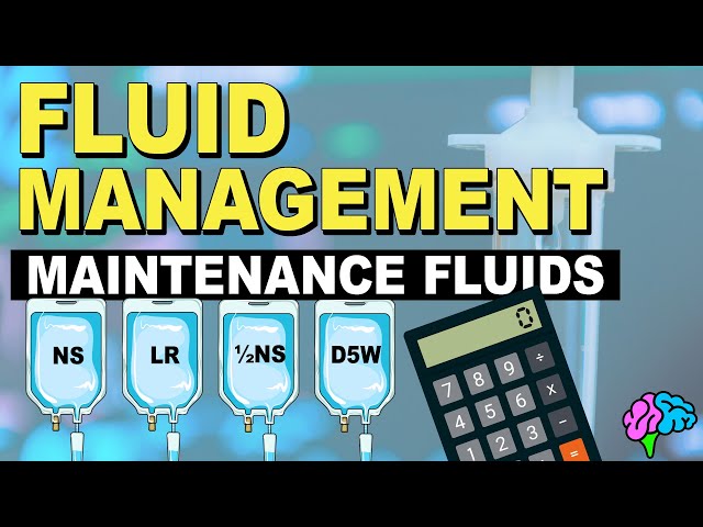 Maintenance Fluids & Calculations - Fluid Management