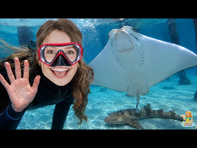 Silly Miss Lily Goes Swimming w/ Stingrays & Sharks at an Interactive Aquarium! Fun Videos for Kids