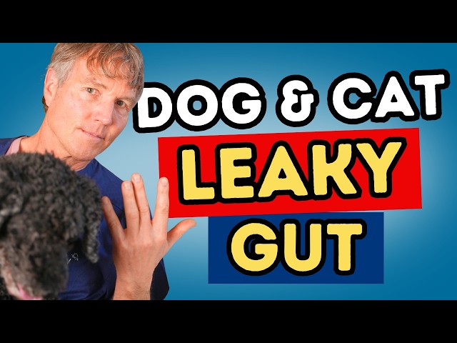 The Best Supplements for Leaky Gut in Dogs