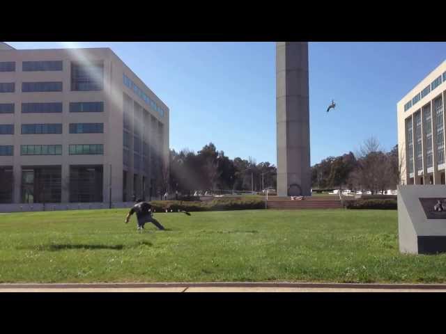 Plovers attack - Canberra