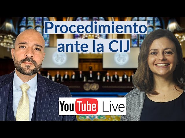 Proceedings before the International Court of Justice