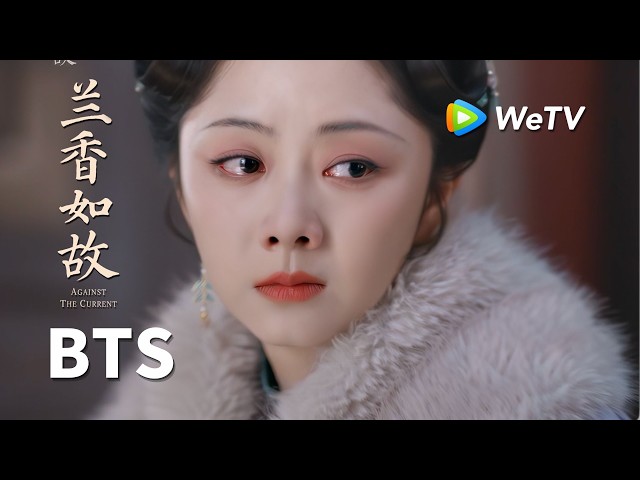 【创意视频】《兰香如故》Against The Current｜京城林府竟然是从前被抄家的沈府｜刘学义、谭松韵