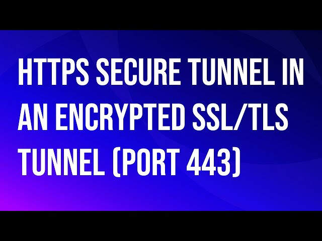 VMware\Omnissa Horizon HTTP(s) Secure Tunnel in an encrypted SSL/TLS tunnel.
