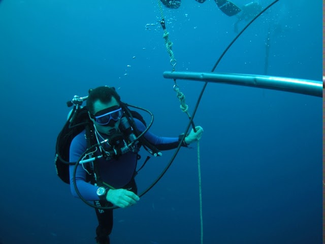 Physiology of decompression | Wikipedia audio article