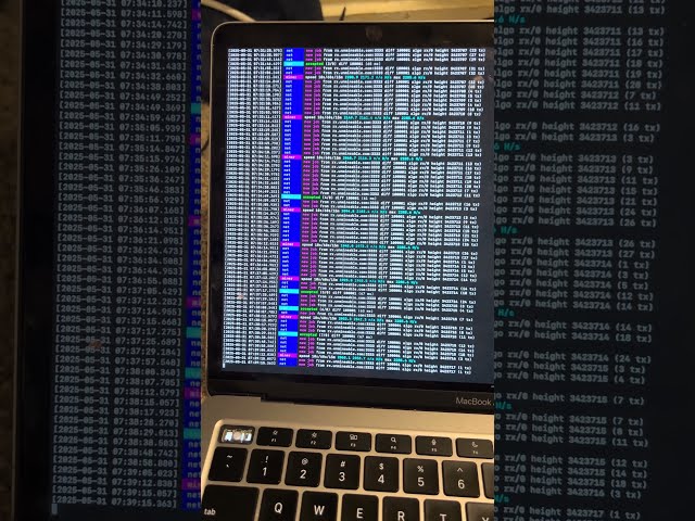 #Day41 of #CPUmining #Monero on #XMRig until I get #monetized