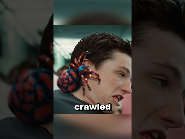 Spiderman From Wish💀