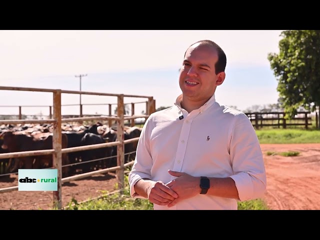 Corral ganadero "de Película" para manejo con bienestar animal