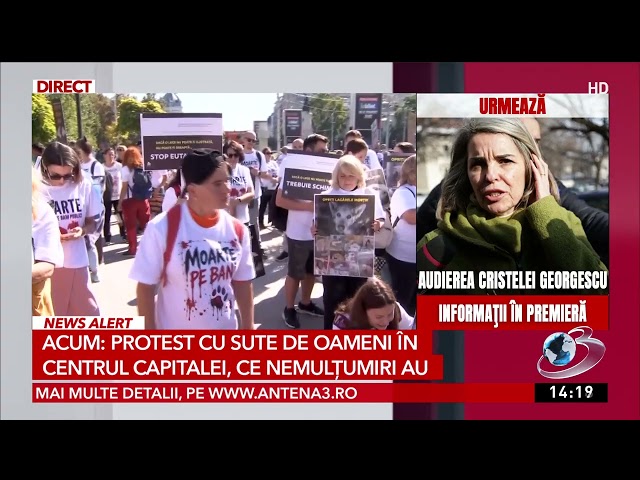 Protest cu sute de oameni în centrul Capitalei, ce nemulțumiri au