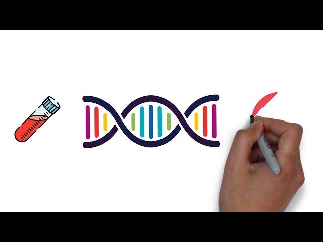 Screening in Pregnancy