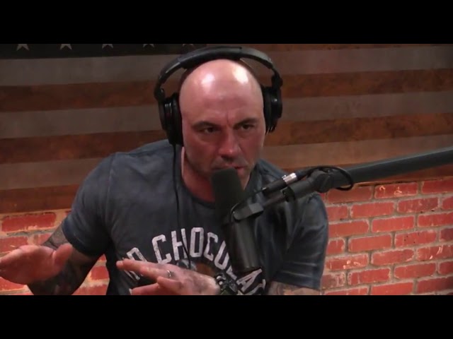 Joe Rogan on Flow State