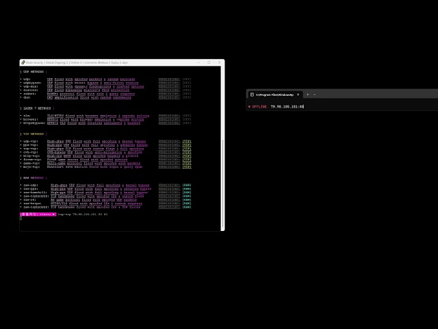BLUSH C2 VS Capybara VPS | BEST C2/API 2026