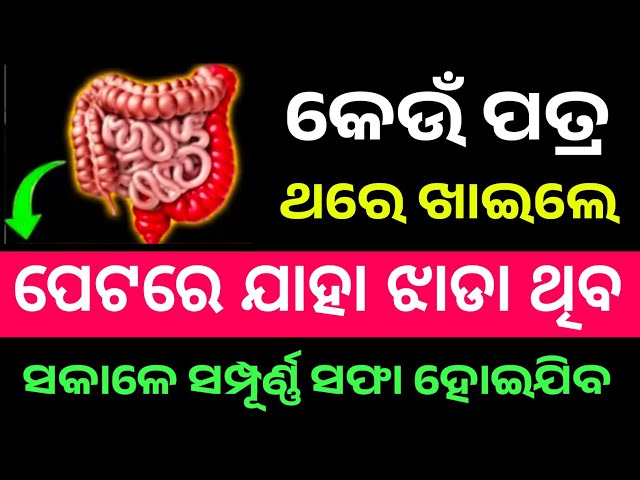 ରାତିରେ ଖାଆନ୍ତୁ, ସକାଳେ ପେଟ ସଫା! I important GK question answer l general knowledge l odia quez l GK 