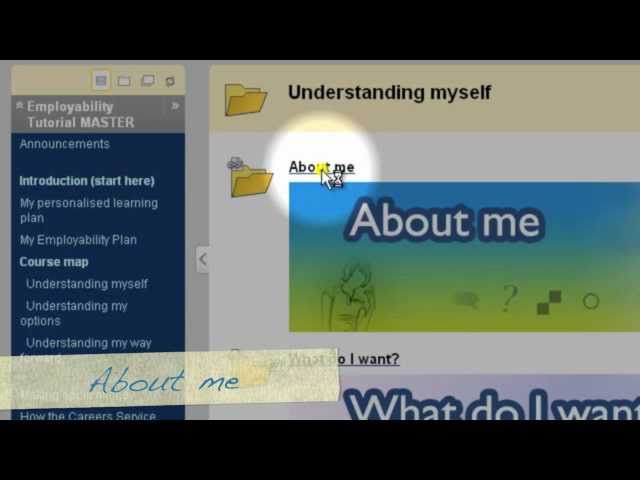 What is Employability?