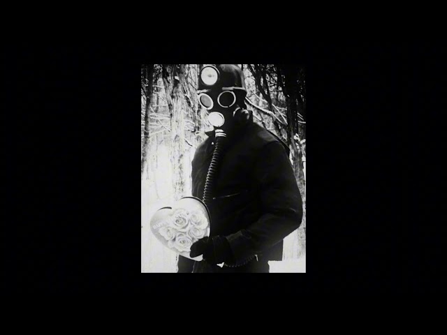 Hate - HN (slowed)