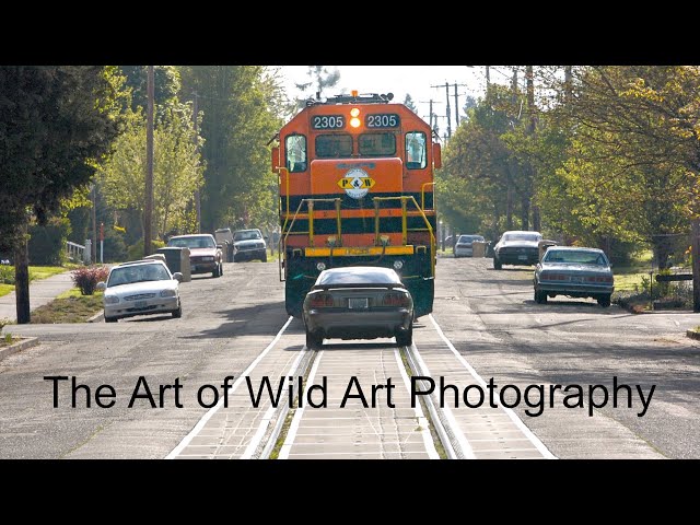 Deconstructing Photography | The Art of Wild Art Photography