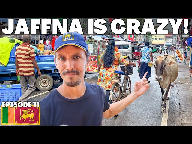 EP 11: WE EXPERIENCED A NEW SIDE OF SRI LANKA 🇱🇰 JAFFNA IS A DIFFERENT WORLD! (truly shocked!)