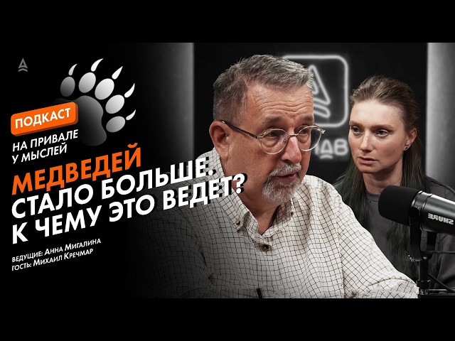 BEARS ARE COMING TO PEOPLE. What to do if you encounter one? | "Thought Stopover" Podcast