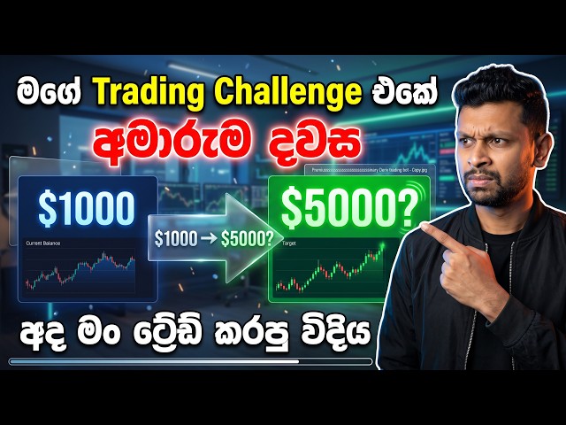 $1000 න් $5000ක්? Real Trading Challenge එක! | Live Trading Experiment