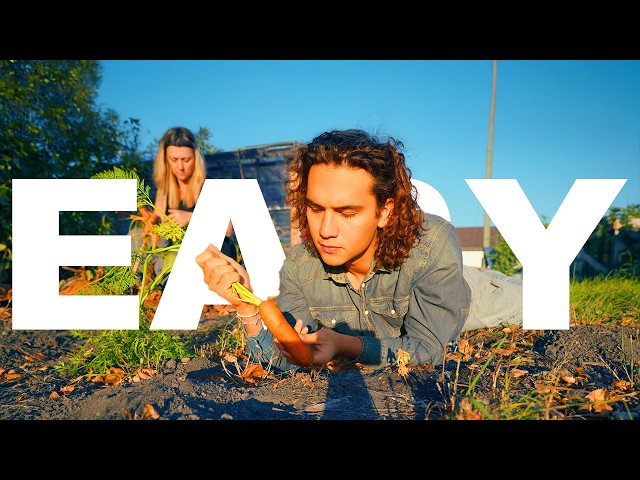 Beginner English | Daily Words You’ll Use at Home 🏡 | Comprehensible input