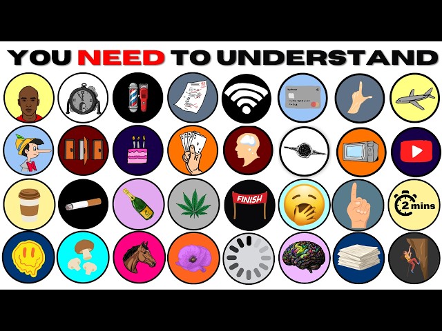 Everything You Need to Understand About Life, Explained