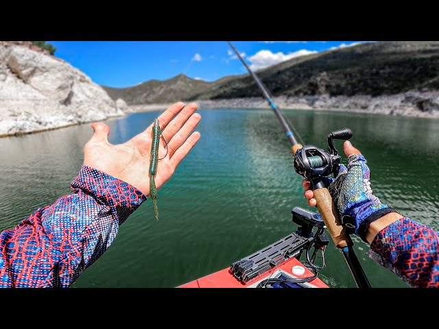 Domina esta técnica y pescarás EN CUALQUIER LUGAR!! -Arreglo Texas - tips de pesca