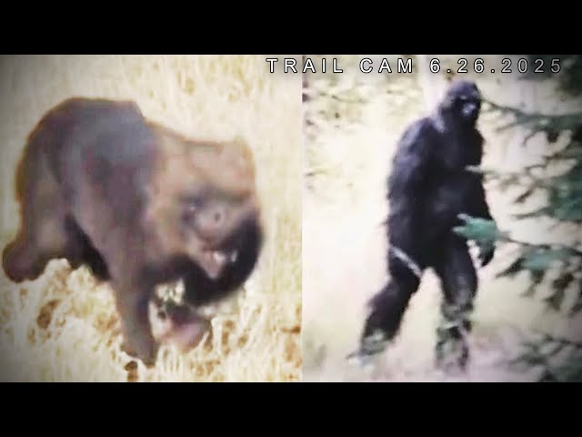 Most Disturbing Cryptid Creatures Caught on Trail Cam 2025