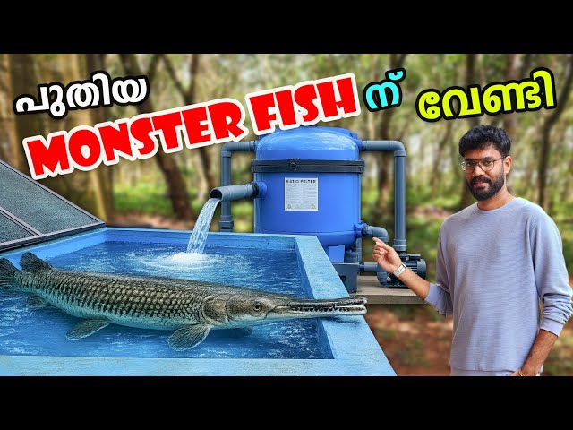 💥 Removed All Fish from the Tank... New MONSTER SETUP! 🐊🔥