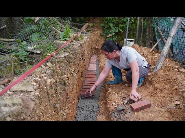 I Won’t Wait: Building My Protective Fence by Myself Despite the Delays.