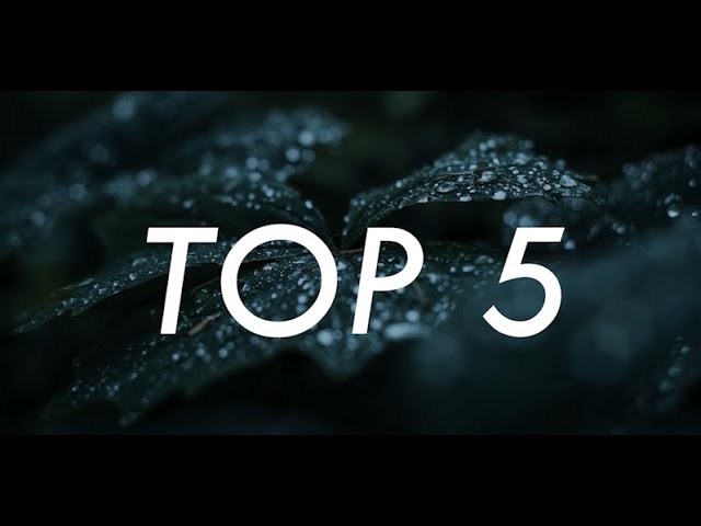 TOP 5 animacji do CSS #shorts