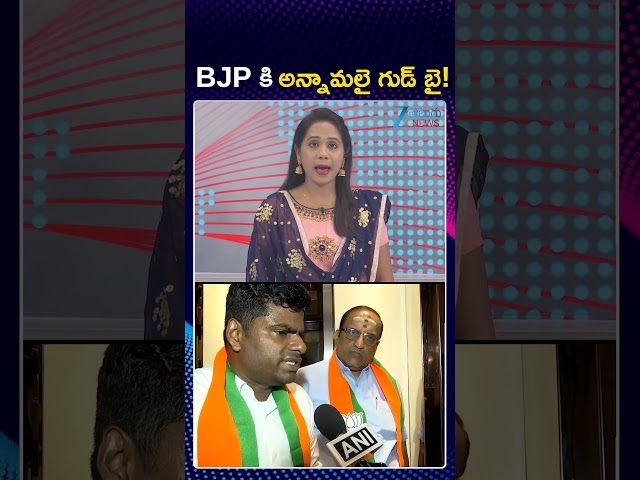 Annamalai Resignation To BJP Party | PM Modi | Tamilnadu Politics | BJP కి అన్నామలై గుడ్‌ బై | ZEE