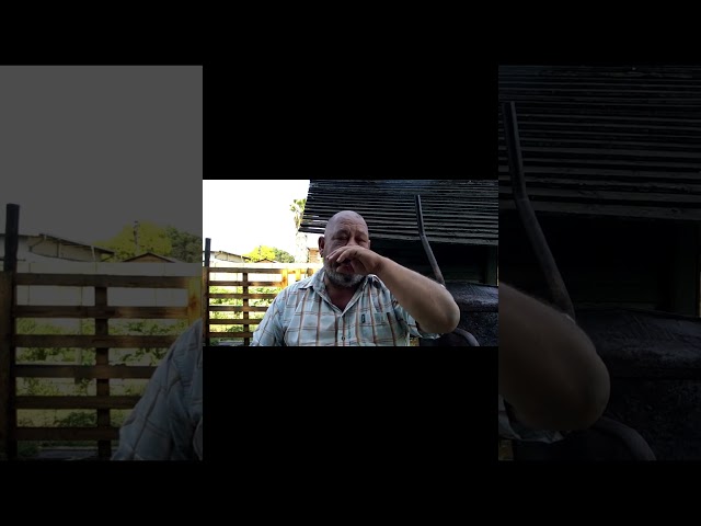 A New Theory: The Pest Only Comes Out at Night #homesteading #gardening #vegetables #food #garden