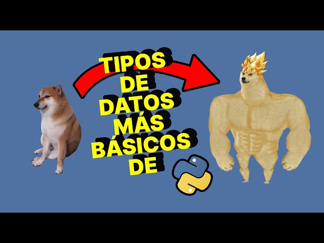 APRENDE qué son los TIPOS PREDEFINIDOS y conoce INTEGER, FLOAT, BOOLEAN y STRING