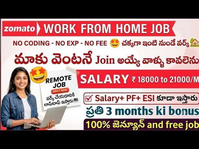 Work from home Zomato 2026 / Intermediate is enough / Diploma and any degree can apply / WFH job