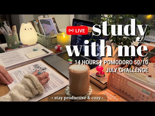 Challenge • 14 HOURS • STUDY WITH ME 🔥 Fireplace Sound for Best Focus | Pomodoro 50/10