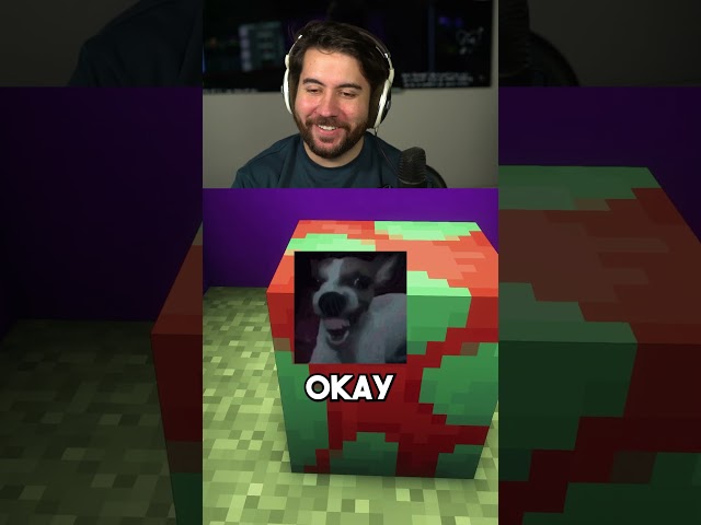 DO WE HAVE THE SAME ITEM ❓🤔 #minecraft #shorts