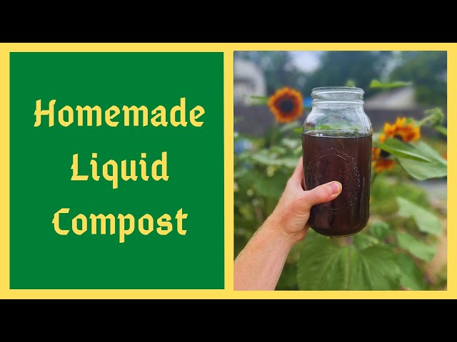 How To Make Aerated Compost Tea for Healthy Gardens - Homemade Liquid Compost - Step by Step Guide